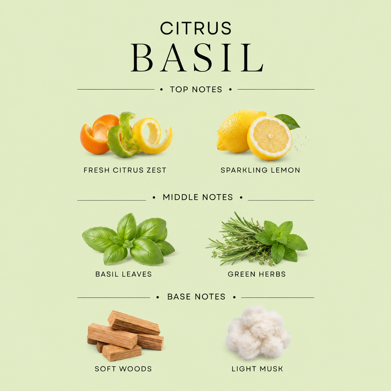 Citrus Basil Reed Diffuser