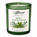 Mint Eucalyptus Signature Candle